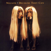 Nelson: Because They Can