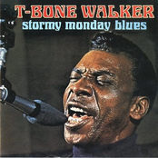 The Blues Collection 16: Stormy Monday Blues