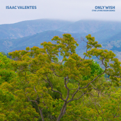 Only Wish (The Living Room Demo)