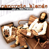 Simple Twist Of Fate by Concrete Blonde