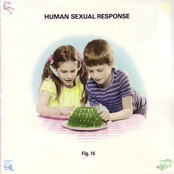 Human Sexual Response: Fig. 15