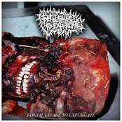 Foetal Fluids To Expurgate