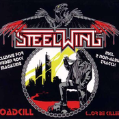 Roadkill (Or Be Killed)