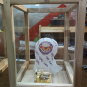 Quarantine Butterfly