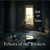 Echoes of the Broken