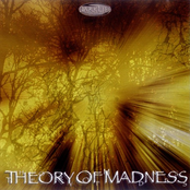 Theory Of Madness