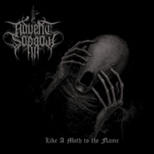 Like A Moth To The Flame (Single)