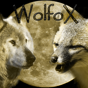 Wolfox