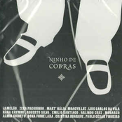 Ninho De Cobras Ao Vivo