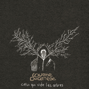 Celui Qui Vide Les Arbres