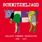 Schnitzeljagd - Delicate Viennese Underground 1980-2007