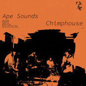 Ape Sounds