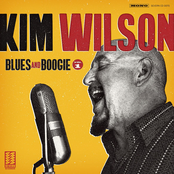 Kim Wilson: Blues and Boogie, Vol. 1
