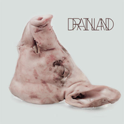 Drainland / Cellgraft Split
