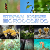 Microcosmos