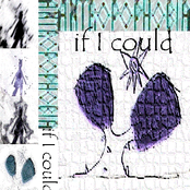 If i could