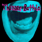 This Is My Life by Thunder Buffalo