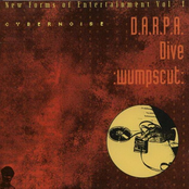 New Forms of Entertainment Vol. 1