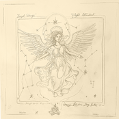 Flight Attendant: Angel Wings