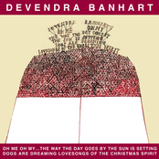 A Gentle Soul by Devendra Banhart