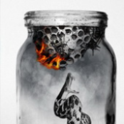 Night Erased Them All