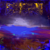 The Courts: Amphibian