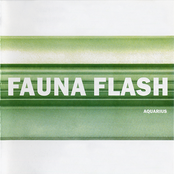 Kiss by Fauna Flash