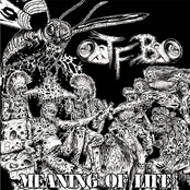 Meaning of Life