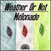 Weather Or Not