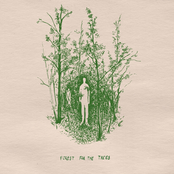 Forest For The Trees