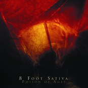 For The Birds by 8 Foot Sativa