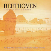 Beethoven With Ocean Sounds (St. Cecelia Symphony Orchestra)
