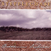 Last Crusade For Love by Steeplechase