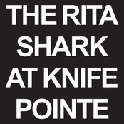 Shark At Knife Pointe