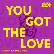 You Got The Love (feat. Afrojack & Chico Rose) - Single