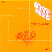 Voices In Harmony