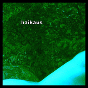 haikaus