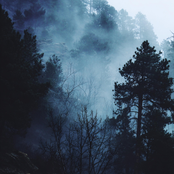 Reticent