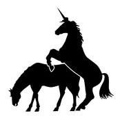 Live At The Bowery Ballroom