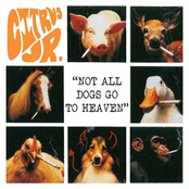 Not all dogs go to heaven (rough mix pre mastering)