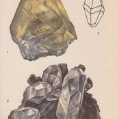 A Brief Introduction...