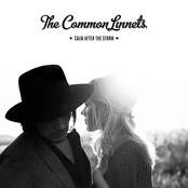 the common linnets