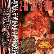 2-Way Surge Of Sewage