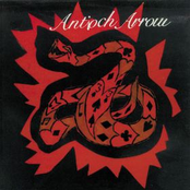 In Love With the Jetts