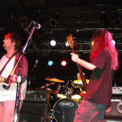 2010 - 2011 Collection