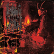 The Burning Embers Of Mockery by Viking Crown