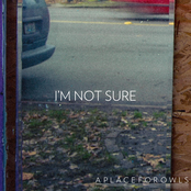 A Place For Owls: I'm Not Sure
