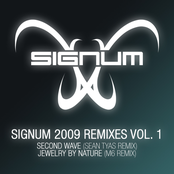 Jewelry By Nature (m6 Remix) by Signum