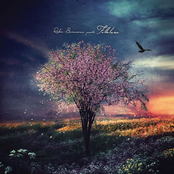 Folklore III: The Cradle Tree