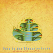 Dancing In The Sunshine Of The Dark by Fury In The Slaughterhouse